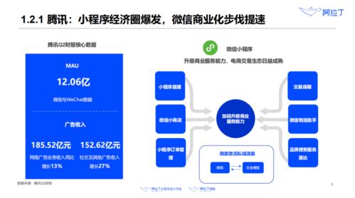 小程序投資回暖 花小豬的下沉 快團團的兇猛 蘇寧的猛漲